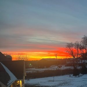 Meet your Posher, Ella